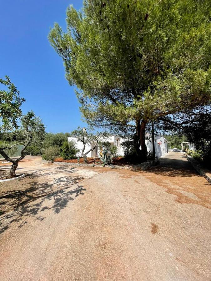 Residenza Fumarola Apartman Ostuni Kültér fotó
